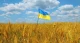 земля
