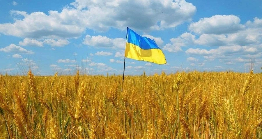 земля