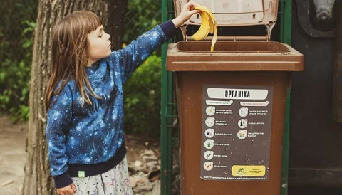 сортування сміття, органіка, органічні відходи