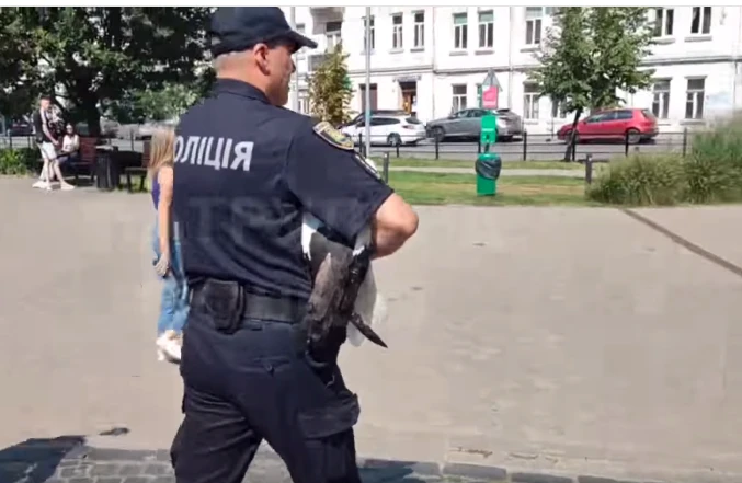 поранений лелека