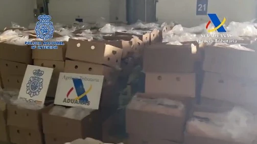 Іспанія, кокаїн, кримінал, світ