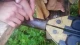 рятувальники звільняють палець дитини