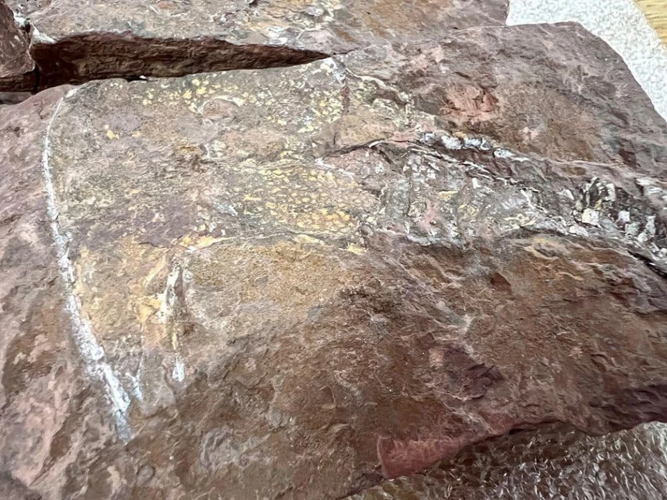 На Київщині знайшли камені віком 407 млн років