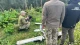 безпілотник контрабандистів