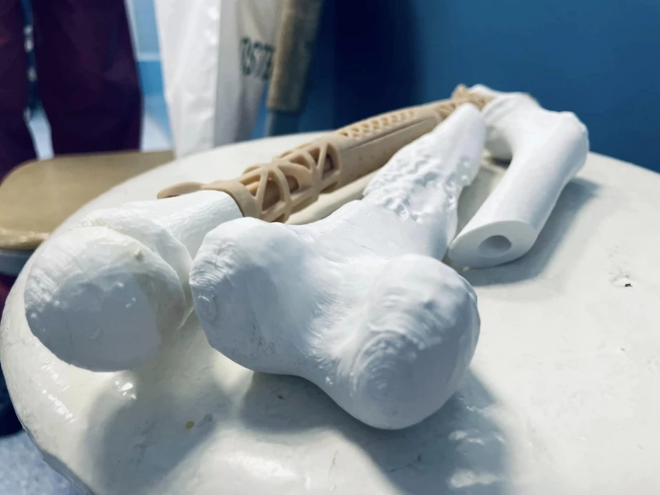 кістка, надруковану на 3D-принтері