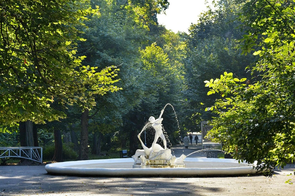 парк, Чернівці