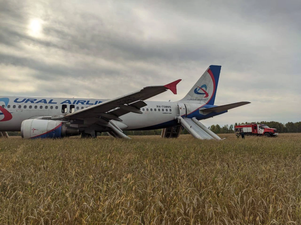 Перші кадри з місця посадки літака "Уральських авіаліній" у полі в Новосибірській області.