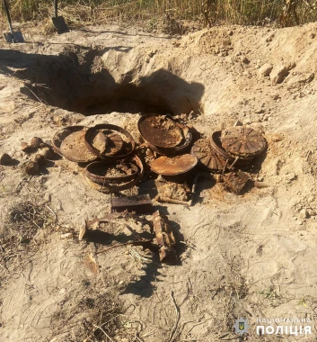 У Житомирі жінка копала картоплю і знайшла арсенал зброї з Другої світової війни