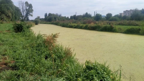 Річка Південний Буг