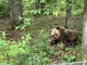 екологічна стежка