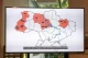 будинки для прийомних дітей, Прикарпаття