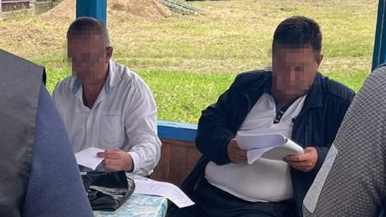 рубка на Львівщині