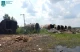 випалювання вугілля