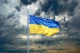 переможні новини переможні новини