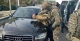 підозрюваний в шахрайстві