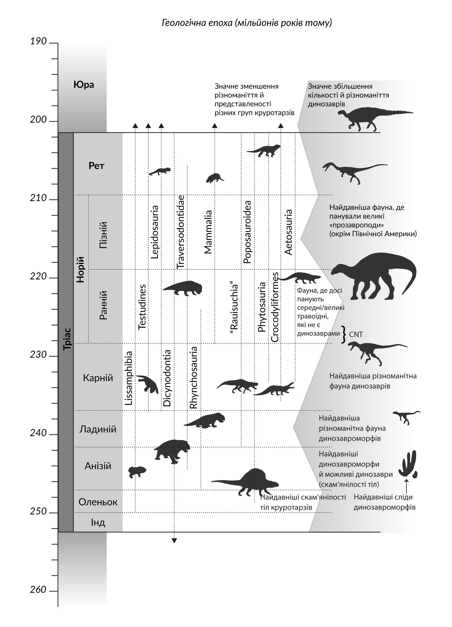 Основні етапи походження динозаврів тріасового періоду, зображення з книги
