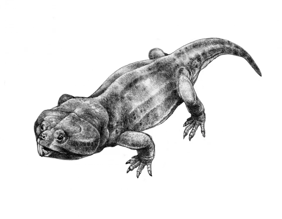 Hyperodapidon, зображення з книги "Динозаври. Новий погляд"