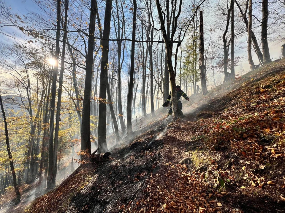 пожежа на території нацпарку на Буковині