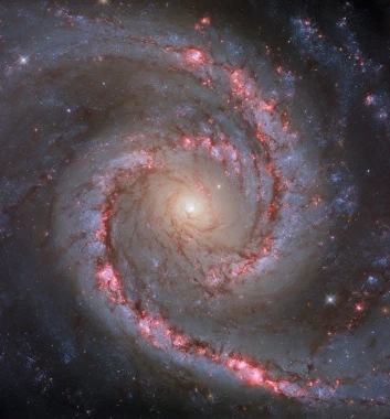 На фото: галактика NGC 1566