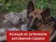 закатована тварина