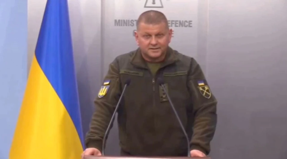 Діпфейк з Валерієм Залужним