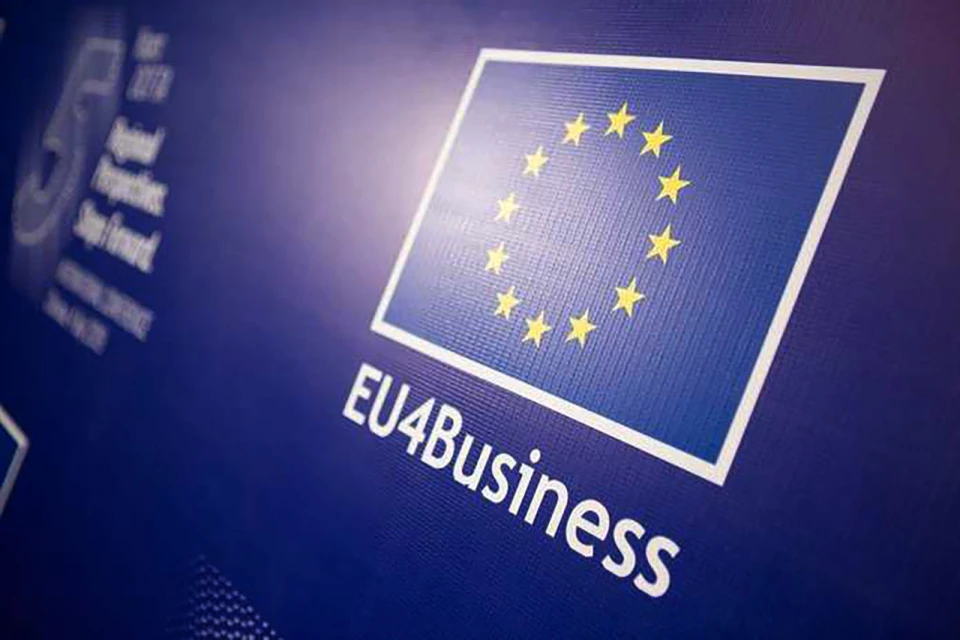 EU4Business