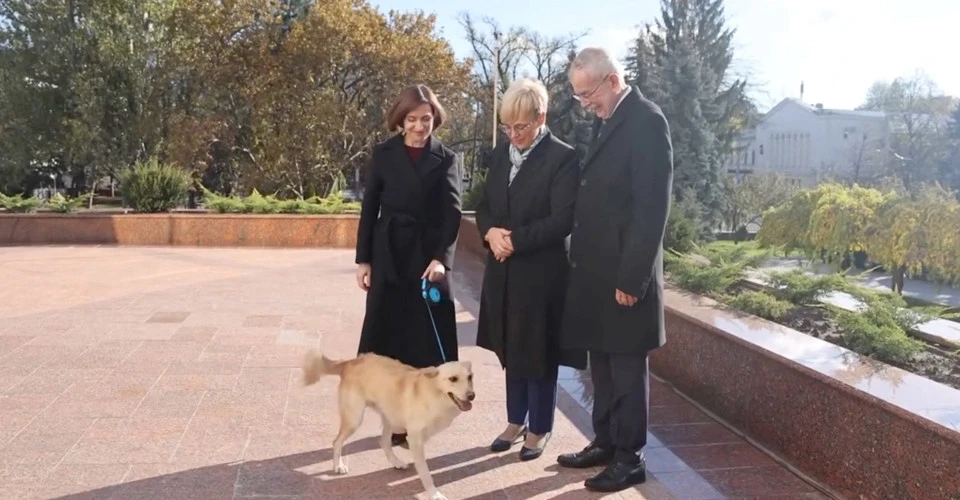 Собака президентки Молдови