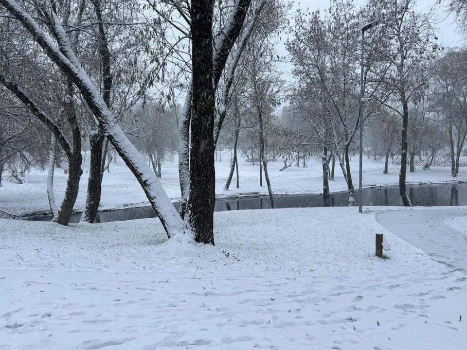 Сніг у Києві