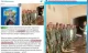 фейк, що в Україні загинув мобілізований підліток-сирота