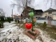 пам'ятник помідору у Городниці