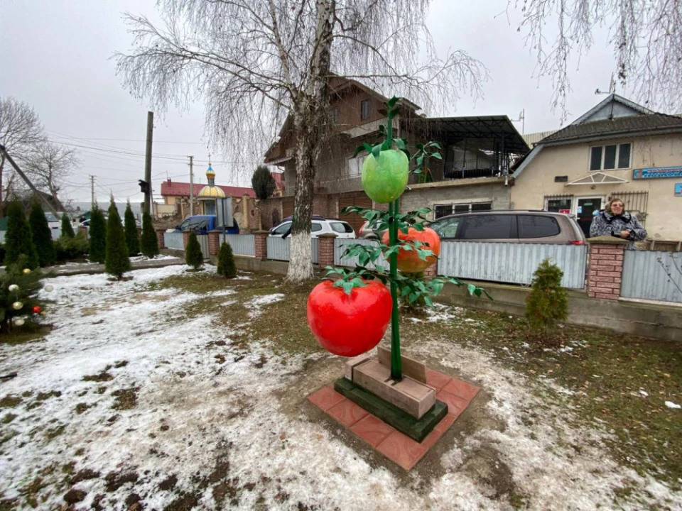 пам'ятник помідору у Городниці