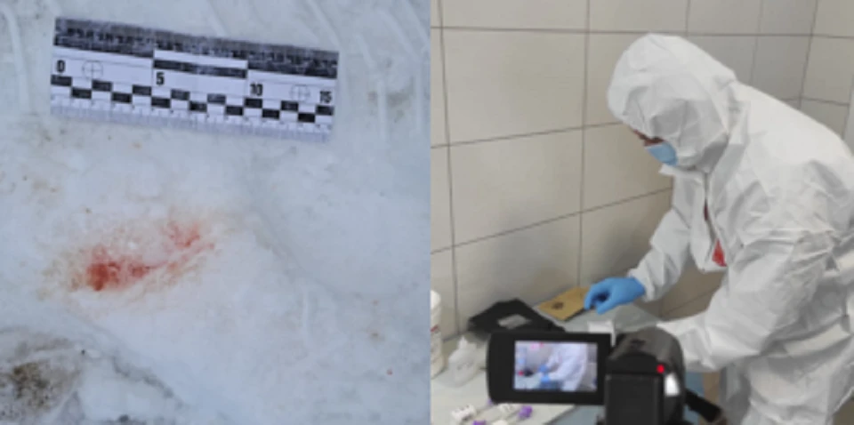 породіллі з Франківщини оголосили підозру в убивстві