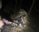чоловік, що ледь не замерз у Тисі