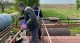 незаконне виробництво пального на Львівщині