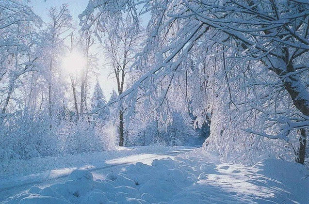 Ілюстративне фото