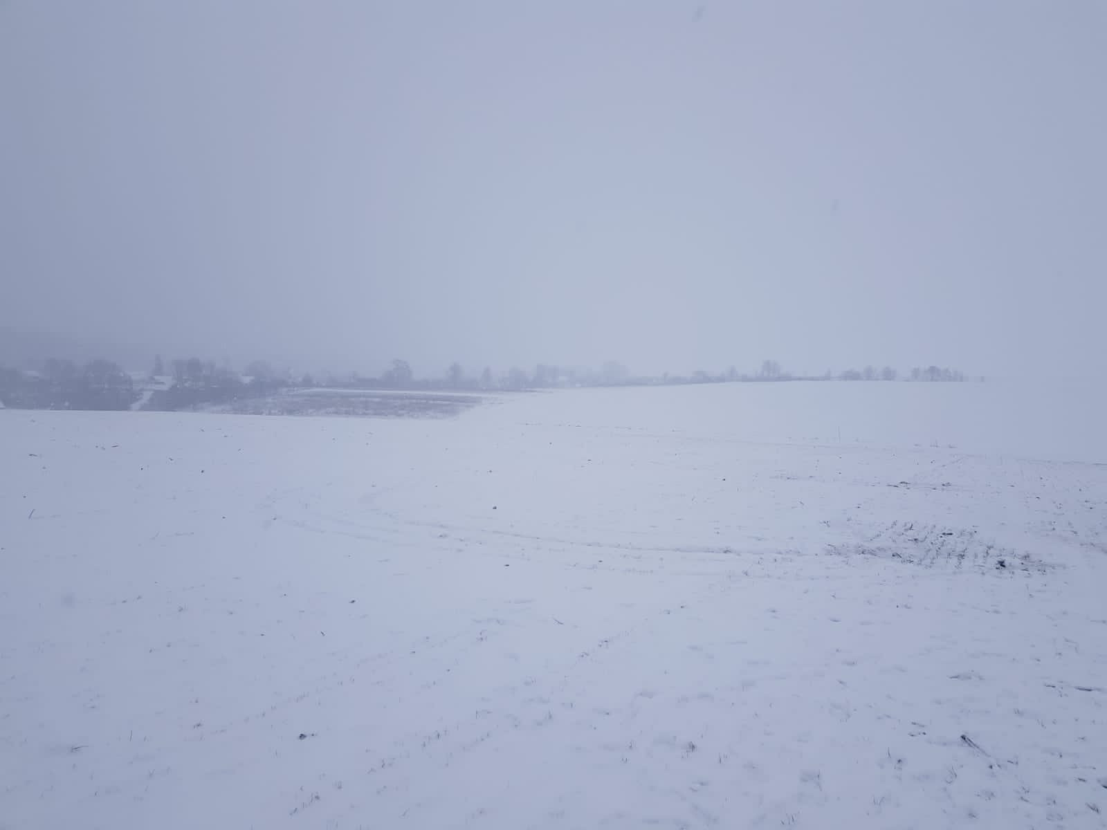 поле, вбивство з необережності