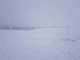 поле, вбивство з необережності