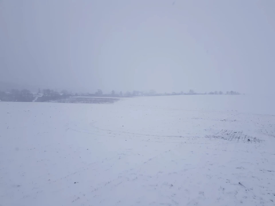 поле, вбивство з необережності