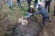 незаконний могильник птиці