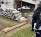 На Львівщині чоловік з пневматичної рушниці застрелив кота