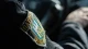 патрульна поліція, патрульні