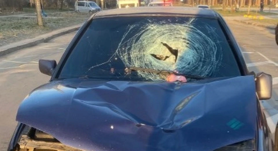 На Львівщині 20-річний водій Volkswagen збив на смерть жінку-пішохода