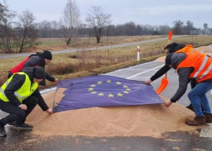Українське зерно, яке висипали у Польщі