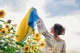 український прапор