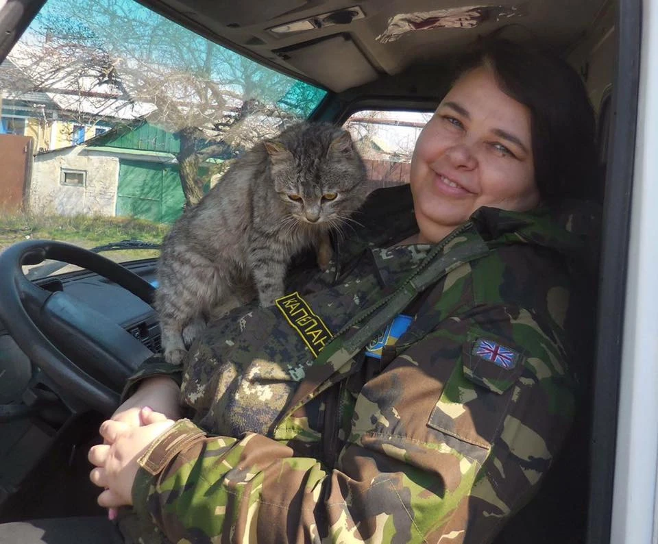 військові новини
