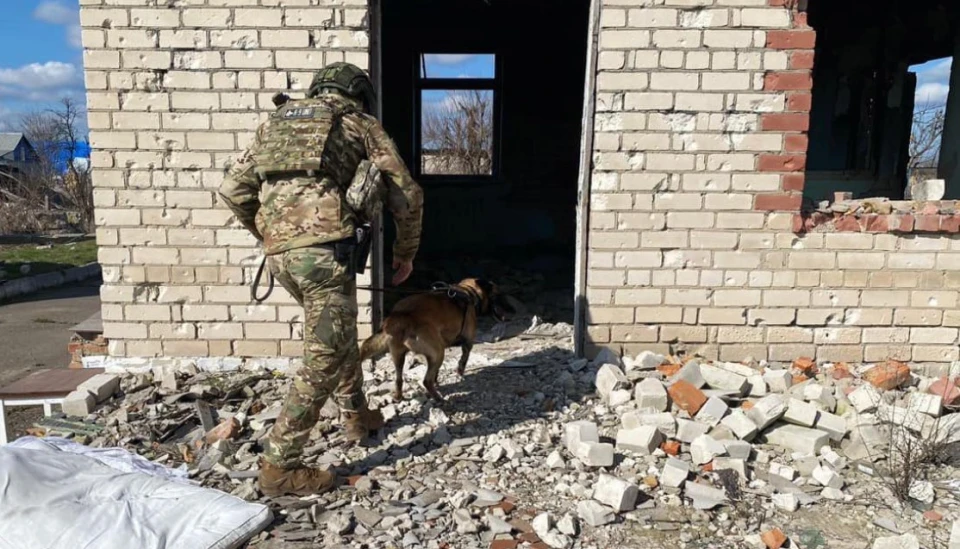 Рівненський кінолог Віталій Полтавченко разом із чотирилапим напарником Ахілом