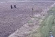 нелегали з України в Польщі