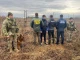 ухилянт