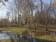новини Львова