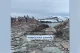 Українські полярники показали морських слонів